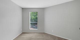 The Pines Gallery 18