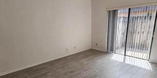 503 Springdale Circle Gallery 14