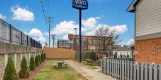 Vivo Living Charlotte Gallery 34