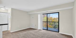 The Cloisters Gallery 30