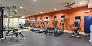 The Stories Gallery 22