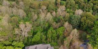 12107 GLEN MILL Road Gallery 42