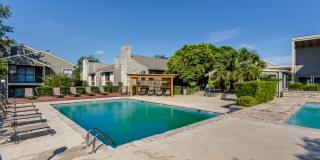 Arbor Hill Gallery 7