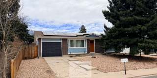 4519 Bella Drive Gallery 1