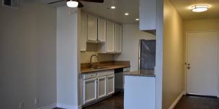 1010 Raleigh Apartments Gallery 10