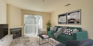 Portola Meadows Gallery 1