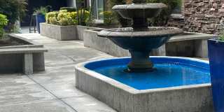 Delano Gallery 2