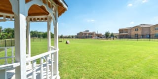 Olympus Willow Park Gallery 15