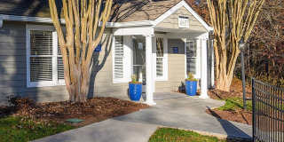 Rise Bluestone Gallery 16