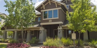 Lory of Bryan Gallery 1