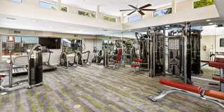 Chandler Ridge Gallery 24