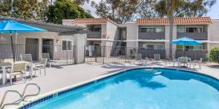 Ocean Vista Gallery 10