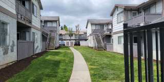 Grand Oaks Gallery 4