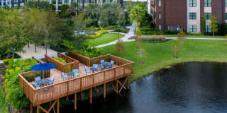 Arcadia Dr. Phillips Arcadia Dr. Phillips Gallery 24