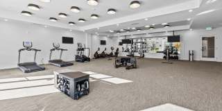 Legend at Beards Hill Gallery 10