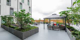 Vera on Broad Gallery 31