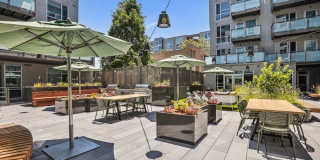 Link Apartments Four12 Gallery 22