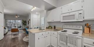 Renaissance at North Bend Gallery 11
