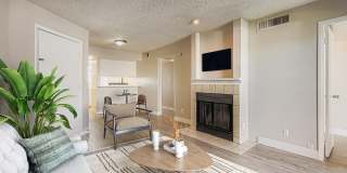 Rise on Cactus Gallery 90