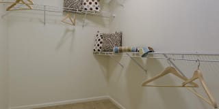 Alister Quincy Gallery 8