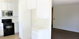 1436 Darwin Dr Gallery 4