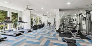 Quadrangles on Twenty Gallery 51