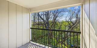 Cypress Pointe Gallery 60