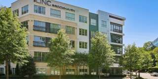 The Linc Brookhaven Gallery 1