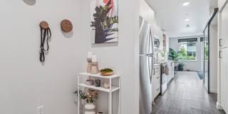 Vicino Bellevue Gallery 22