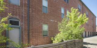 Thrive Argenta Gallery 10