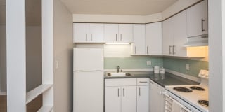 805 Dahlia Gallery 15