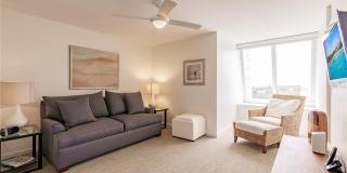 1200 E PEPPERTREE LANE Gallery 19