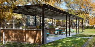 The Grove Gallery 24