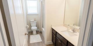 8196 Cape Fox Drive Gallery 14