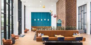 Fellow at Fitz Gallery 15