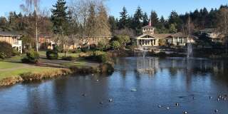 Lakeside Gallery 22
