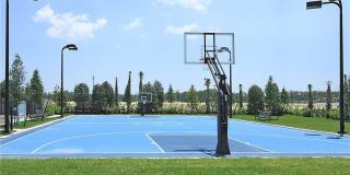 11593 Lakewood Preserve Place Gallery 28