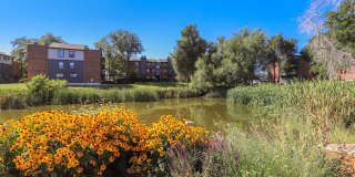 The Modern Gallery 66