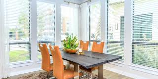 San Remo Gallery 43