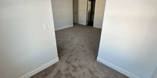 Gorgeous Condo! Gallery 21