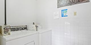Evergreen Evergreen Gallery 4