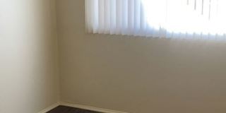 Sumac Oasis Gallery 4