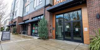 Galaxie at Sellwood Gallery 3