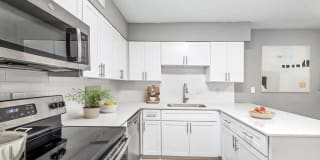 Elliot Roswell Gallery 10