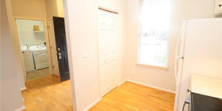 3013 Silky Dogwood Trail Gallery 19