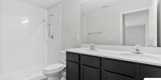 26 Serbian Bellflower Trail Gallery 21