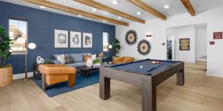 Vida at Mountain House Gallery 13