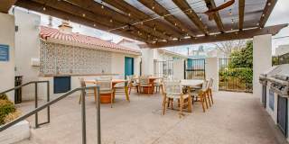Aydan Gallery 28