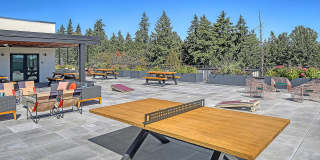 Terrace Station Gallery 21