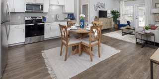 Argyle Lake at Oakleaf Town Center Gallery 4